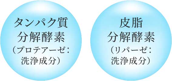 タンパク質分解酵素（プロテアーゼ：洗浄成分）、皮脂分解酵素（リパーゼ：洗浄成分）