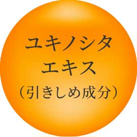 ユキノシタエキス（引きしめ成分）