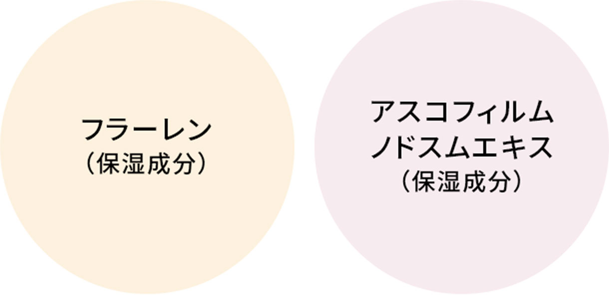 フラーレン（保湿成分）、アスコフィルムノドスムエキス（保湿成分）